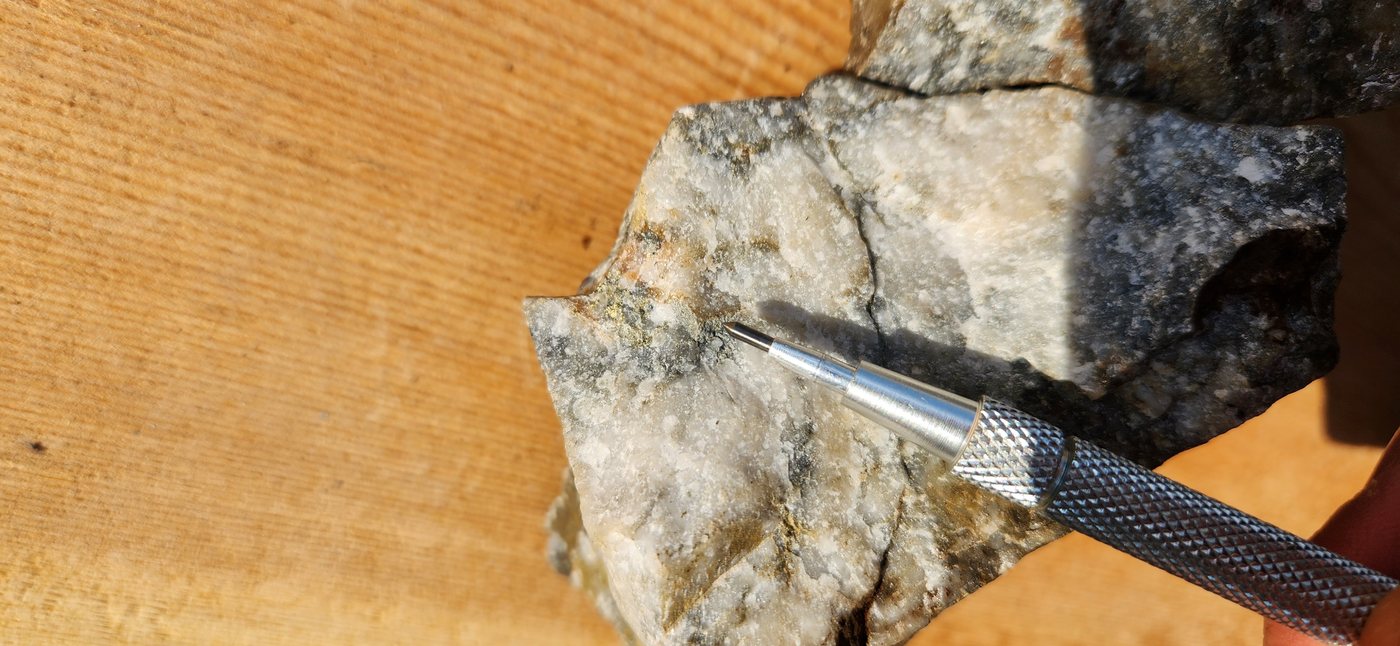 High-grade vein sample from the Georgia Project