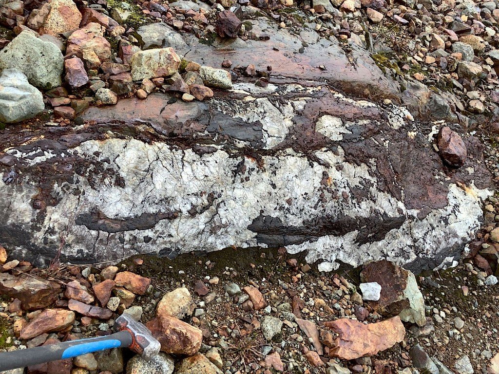 Carbonate-sulphide rich veins of the Scottie Gold Mine property