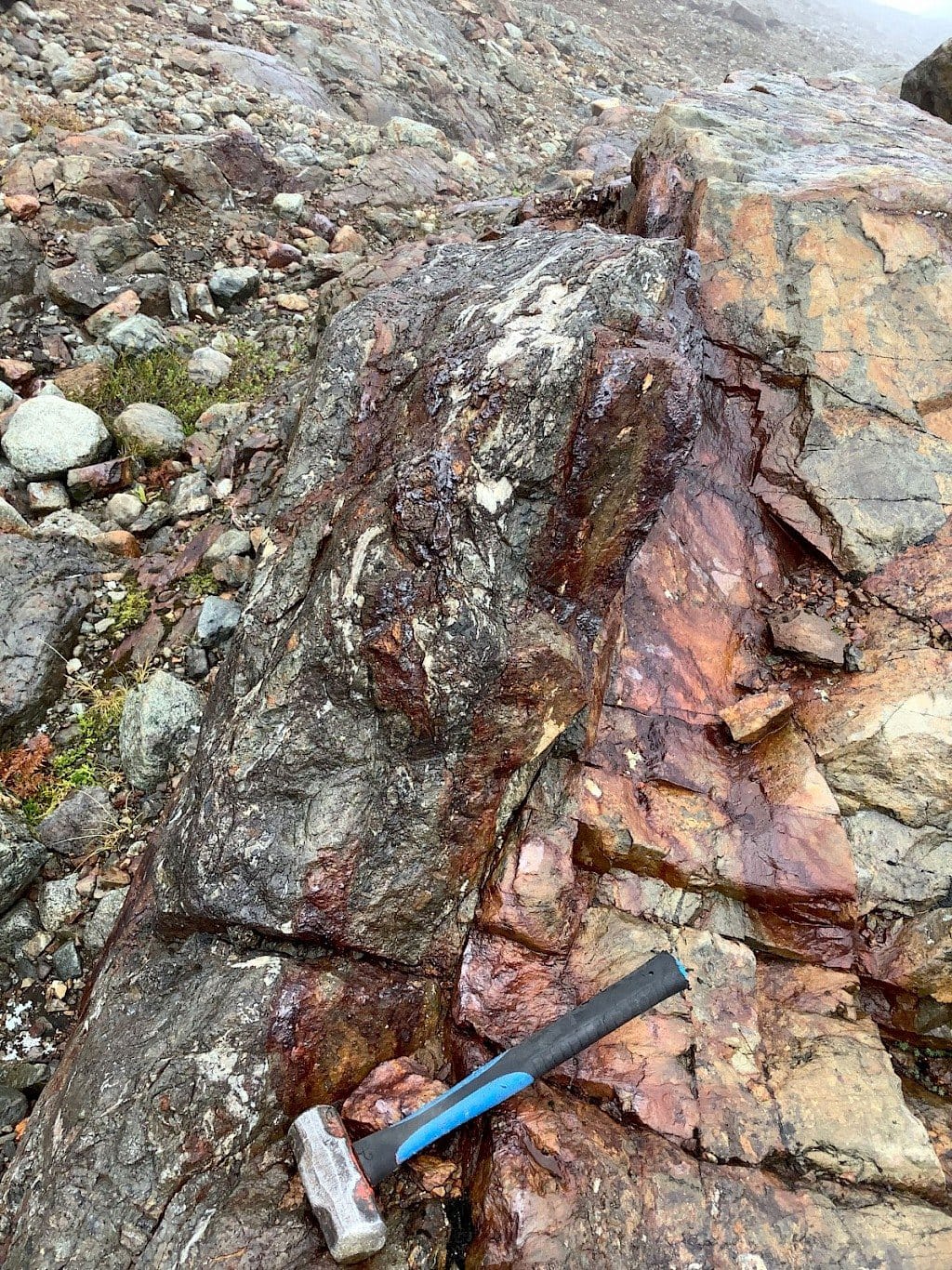 Sheared sulphide-rich veins of the Scottie Gold Mine
